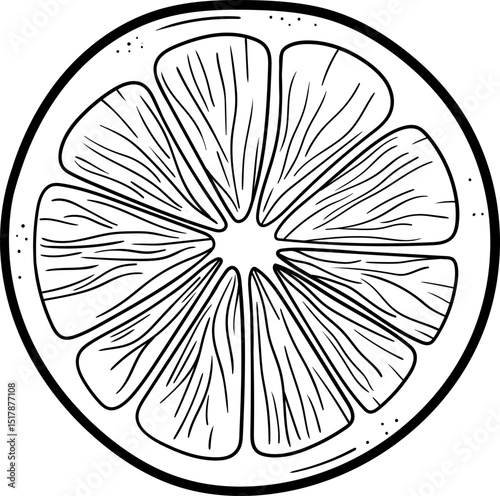 Orange fruit lineart black clipart design illustration