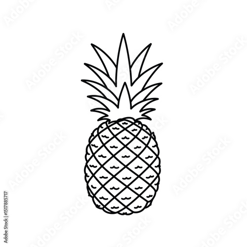 Simple line drawing of a delicious pineapple