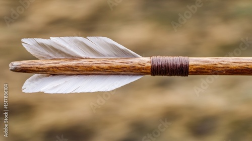 Close-up of a wooden arrow with feathered nock