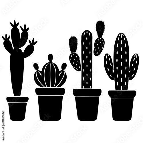 cactus in a pot
