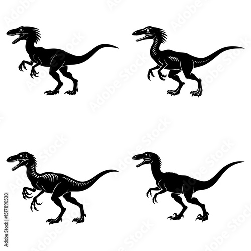 Four black and white velociraptor illustrations with varying skeletal visibility on a white background