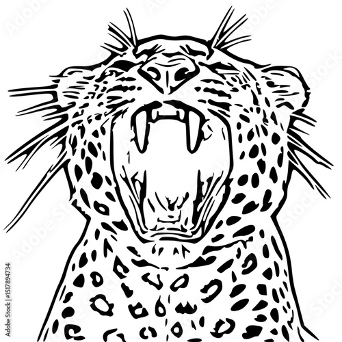 vector illustration of a leopard opening mouth 