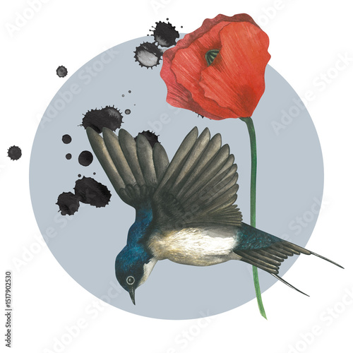 Swallow bird postcard template with red flower poppy watercolor illustration on white background handmade