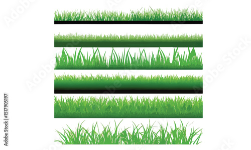 Grass. Collection of grass vector illustrations in flat style. green leaf