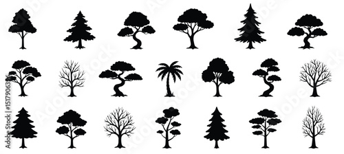 Black vector silhouettes of diverse trees, including oak, pine, birch, and palm, forming a natural forest collection perfect for floral design patterns
