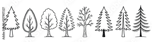 Set of Hand-Drawn Tree Silhouettes Representing Various Forest Species