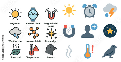 Animal navigation concepts and communication symbols for educational design