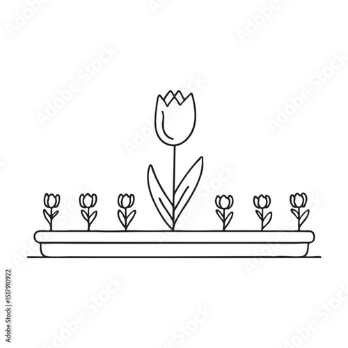 A tulip nestled inside a narrow planting bed