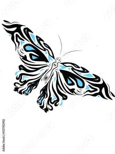 black and blue butterfly