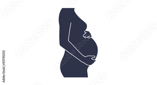 Elegant Silhouette of a Pregnant Woman Holding Her Belly with Love and Care