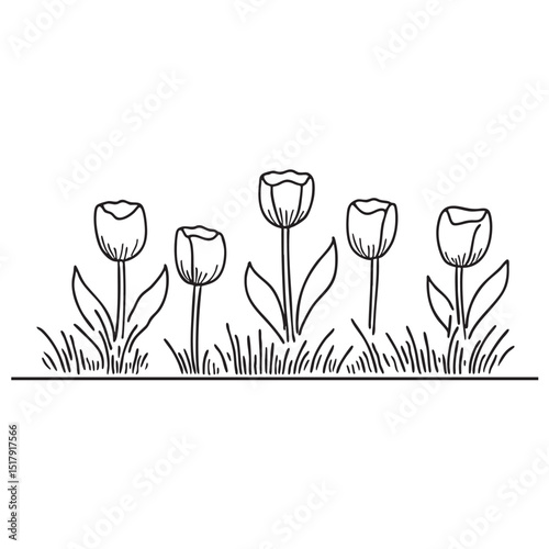 Tulips placed next to trimmed grass