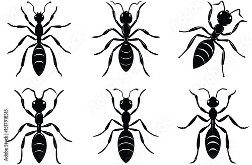 Collection of insect vector silhouettes including ant, spider, bee, fly, mosquito, and beetle, perfect for seamless patterns or icons