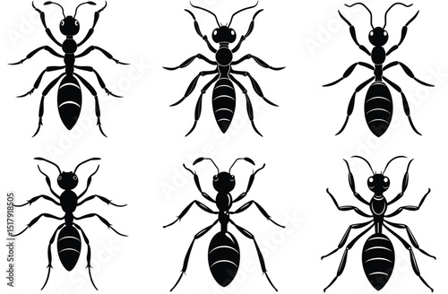 A diverse collection of insect silhouettes: ant, spider, bee, fly, mosquito, butterfly, beetle, and dragonfly illustrations in a seamless vector pattern