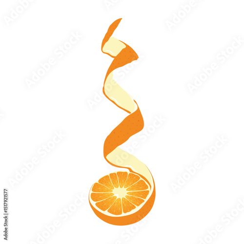 Half an orange with a spiral of peel. Hand drawn orange. 