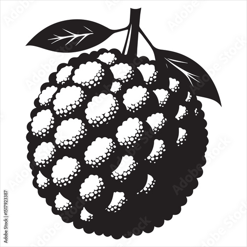 fresh litchi fruit vector silhouette, vector black color silhouette, isolated white background 
