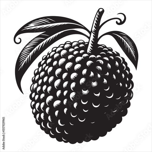 fresh litchi fruit vector silhouette, vector black color silhouette, isolated white background 