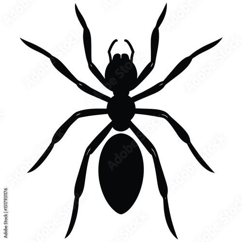 Black spider vector illustration on a white background, ideal for nature, horror, or Halloween designs