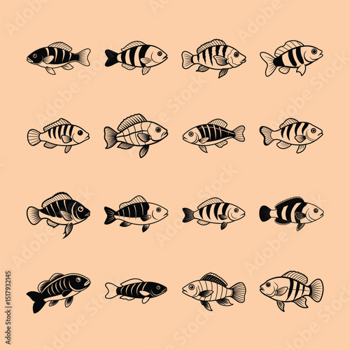 Kribensis Cichlid, aquarium fish line art illustration