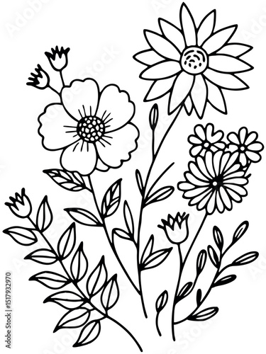 Elegant floral illustration featuring outlined flowers and leaves botanical nature design