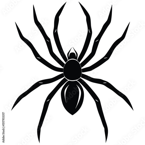 Black and yellow arachnid on white background, a dangerous insect symbol or scary Halloween design