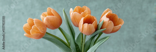 Rustic orange tulips poised elegantly, evoking Dutch King's Day vibrancy and Renaissance spring rebirth, whispering tales of floral jubilee