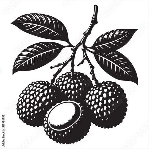 fresh litchi fruit vector silhouette, vector black color silhouette, isolated white background 