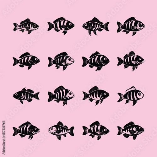 Kribensis Cichlid, aquarium fish vector art illustration