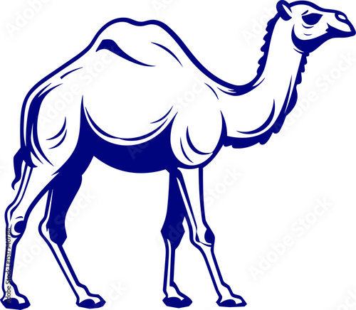 camel vector illustration. line art hand drawing vector of camel. camel outline
