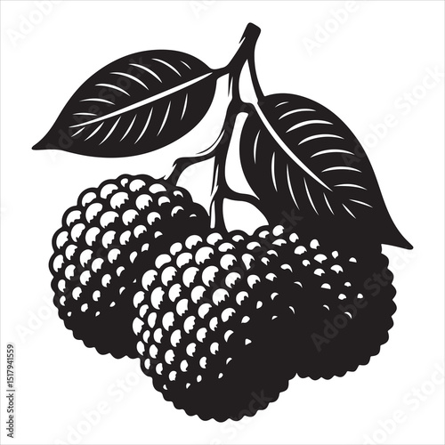 fresh litchi fruit vector silhouette, vector black color silhouette, isolated white background 