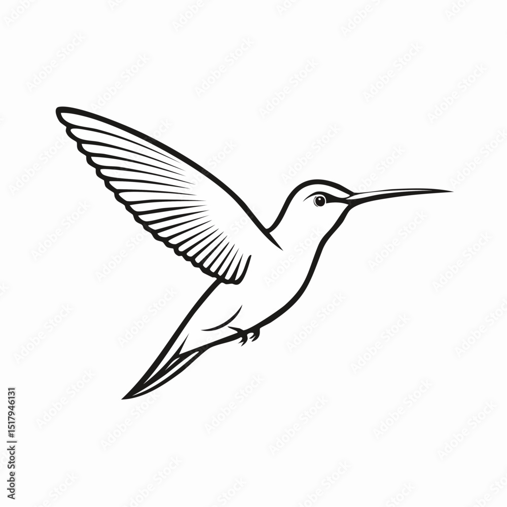 Obraz premium Graceful Hummingbird Outline