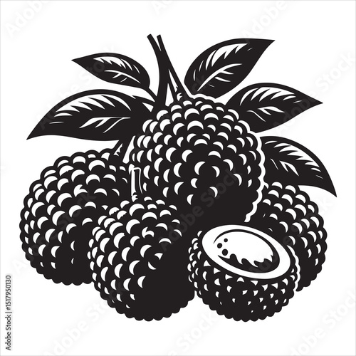 fresh litchi fruit vector silhouette, vector black color silhouette, isolated white background 