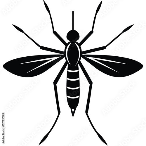 mosquito graphics white backdrop