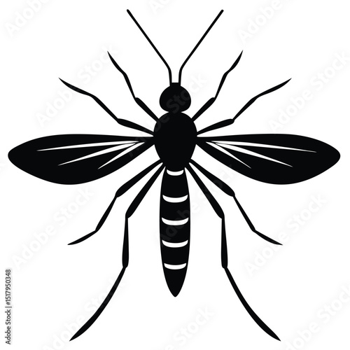 editable mosquito white background