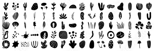 Hand drawn botanical vector elements collection with abstract organic shapes, leaves, plants, and nature motifs for modern design