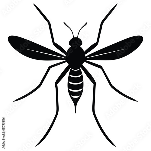 mosquito isolated on white