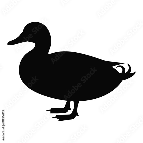 Duck Silhouette Standing on Ground Alone