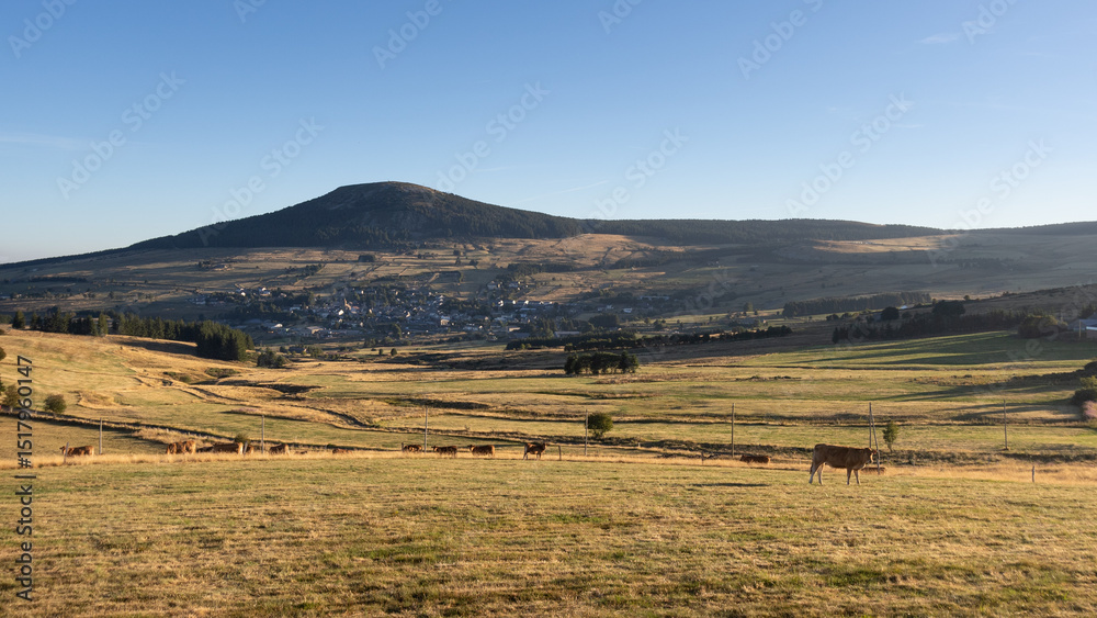Obraz premium Mont d'Alambre à côté du Mont Mézenc aux Estables en Haute Loire, paysage volcanique en été en France