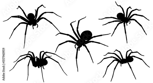 Five Black Spider Silhouettes with Long Legs and Segmented Bodies