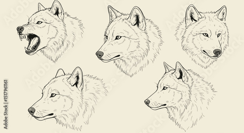 Line Art Illustration of Five Wolf Heads in Various Poses