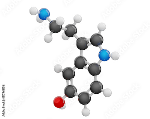 Fototapeta Naklejka Na Ścianę i Meble -  Serotonin molecule isolated on transparent background. Detailed 3D model of human hormone. Molecular formula: C10H12N2O. Chemical model: Ball and Stick. 3d illustration