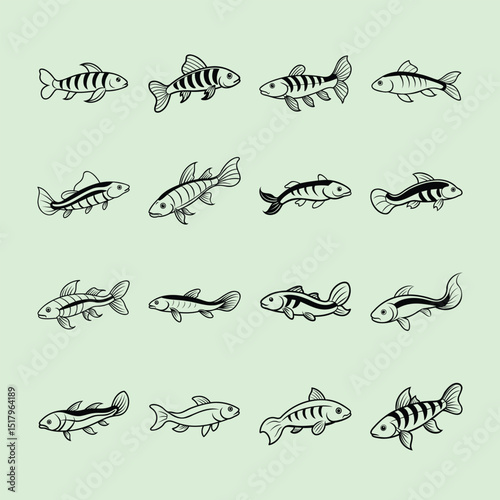 Kuhli Loach, aquarium fish line art illustration