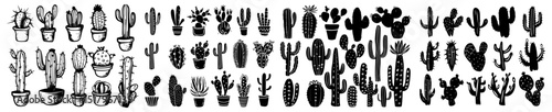 Hand drawn cactus and succulent vector collection with desert plants, potted cacti, and botanical silhouettes