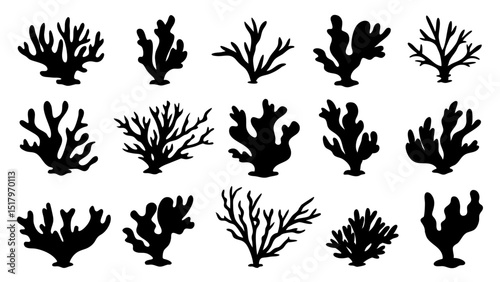 Seaweed silhouettes, coral black icon. Abstract organic shape, underwater plant, matisse element, cute sea doodle.
