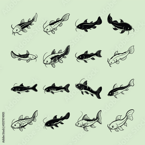 Pictus Catfish, aquarium fish line art illustration