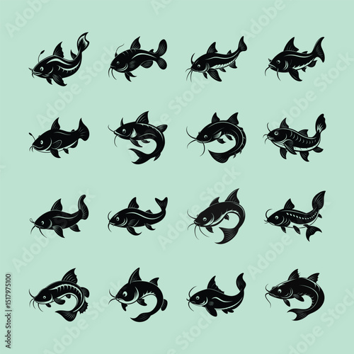 Pictus Catfish, aquarium fish vector art illustration