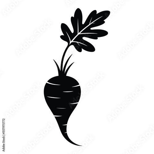 Scorzonera Silhouette, Vector, Illustration, Icon, Logo, White Background.