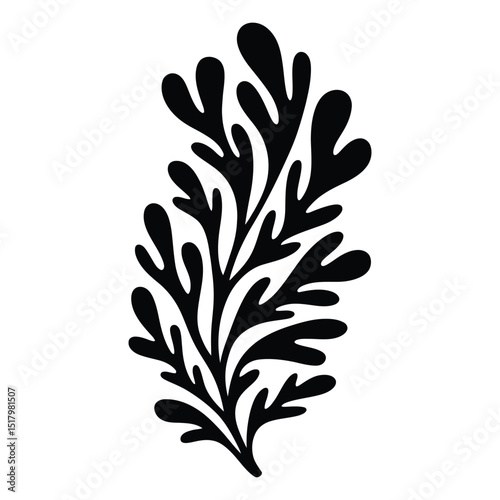 Kombu Silhouette, Vector, Illustration, Icon, Logo, White Background.