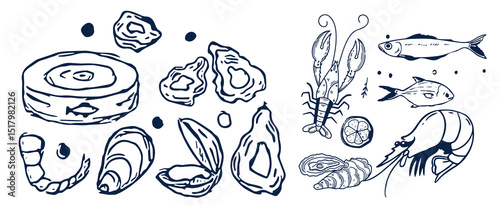 Incredible Hand Drawn Seafood Vectors