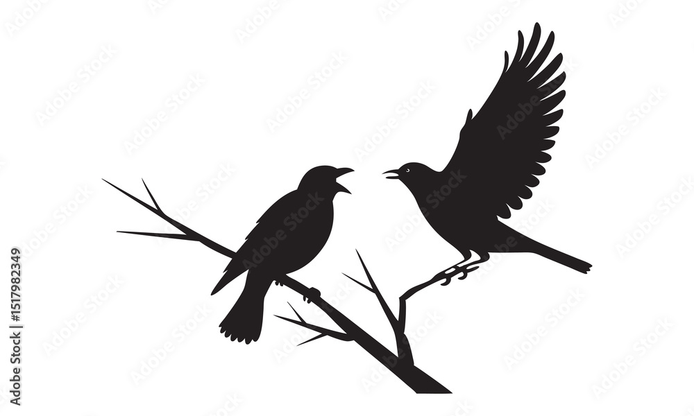 Fototapeta premium vector illustration of a crow