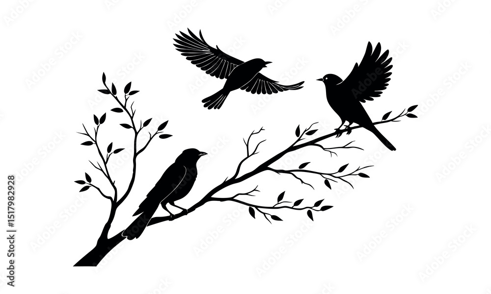 Fototapeta premium Bird set silhouette vector.